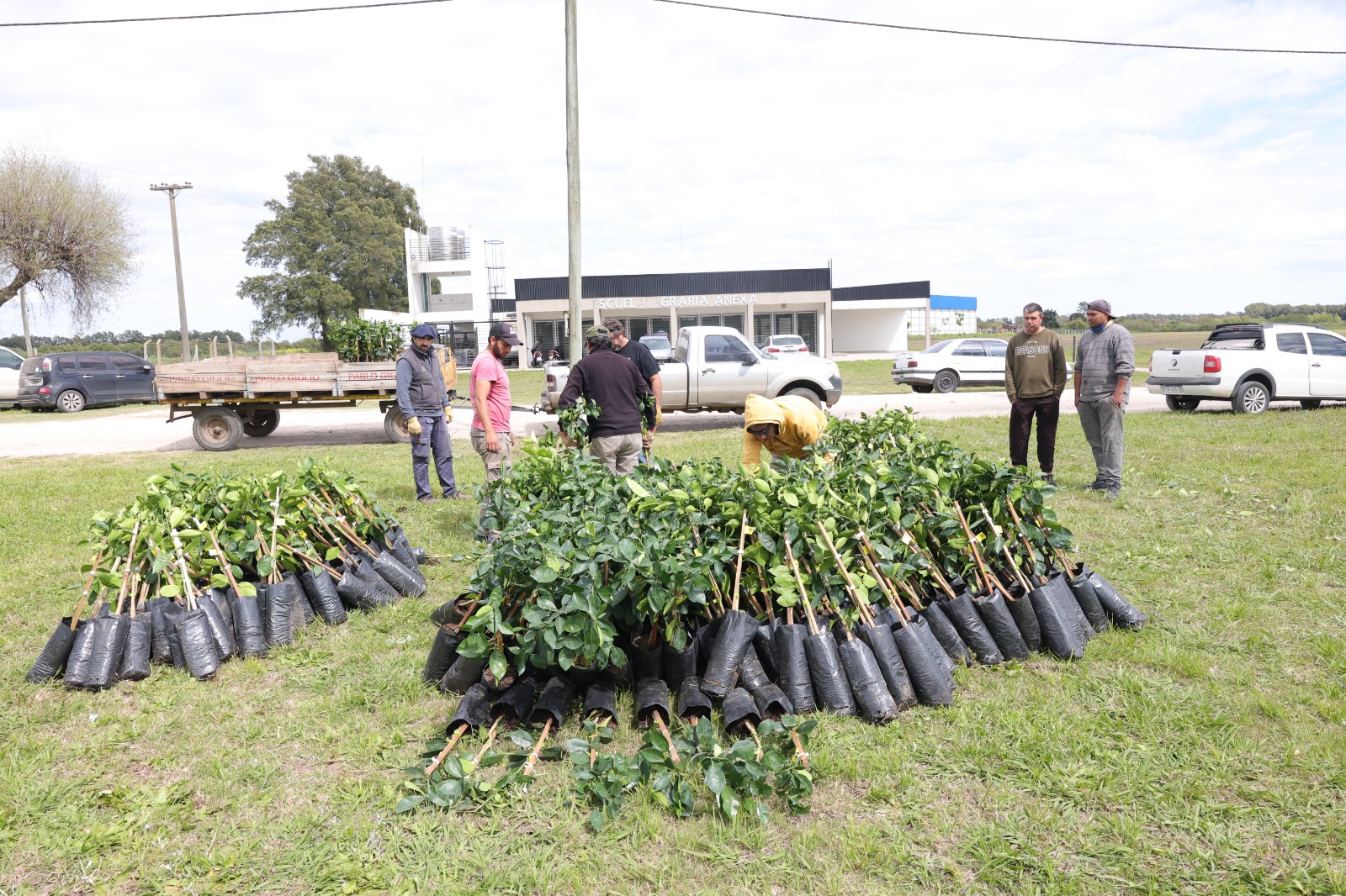 San Pedro entregó alrededor de 600 plantas frutales a pequeños productores y emprendedores